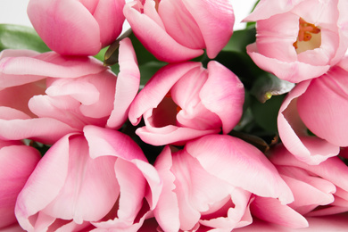 Closeup view of beautiful pink spring tulips