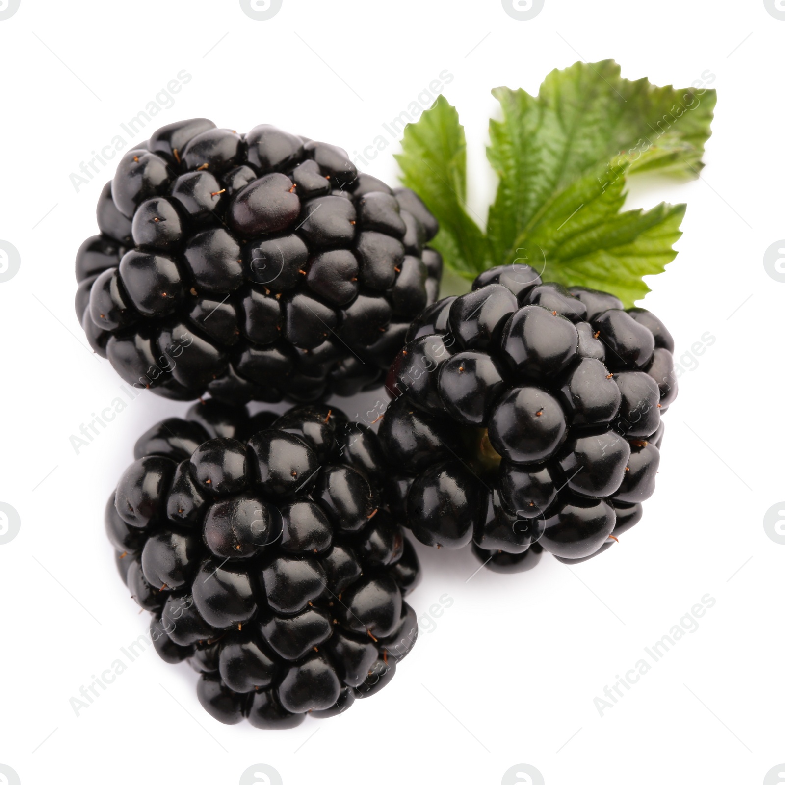 Photo of Tasty ripe blackberries and leaf on white background, top view