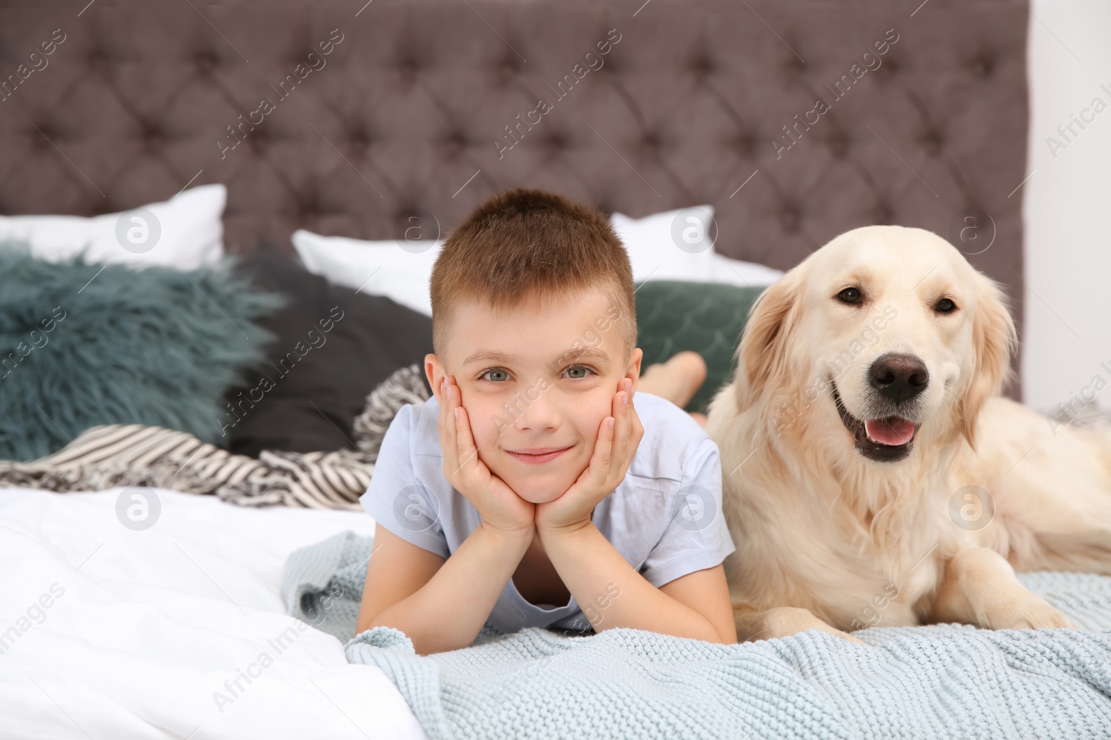 Photo of Cute little child with his pet on bed at home