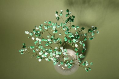 Photo of Beautiful gypsophila flowers in vase on green background, top view