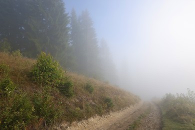 Photo of Beautiful view of path near forest in foggy morning