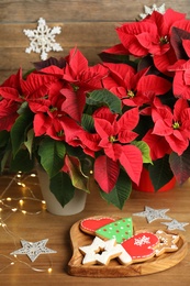 Photo of Poinsettia (traditional Christmas flower), cookies and string lights on wooden table