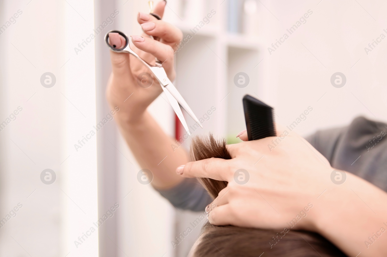 Photo of Professional female hairdresser working with client in salon