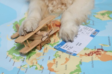 Photo of Dog lying near toy airplane and ticket on world map, closeup. Travelling with pet