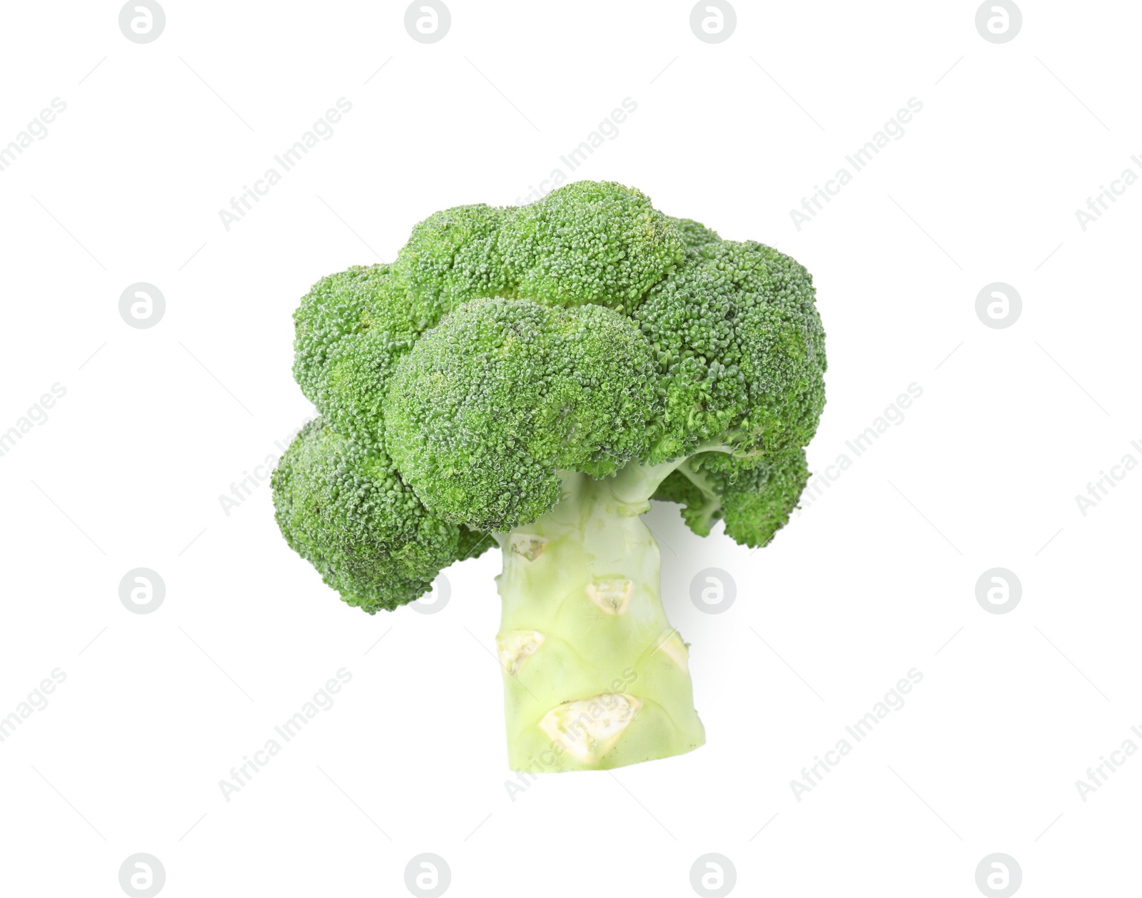 Photo of Fresh raw green broccoli isolated on white