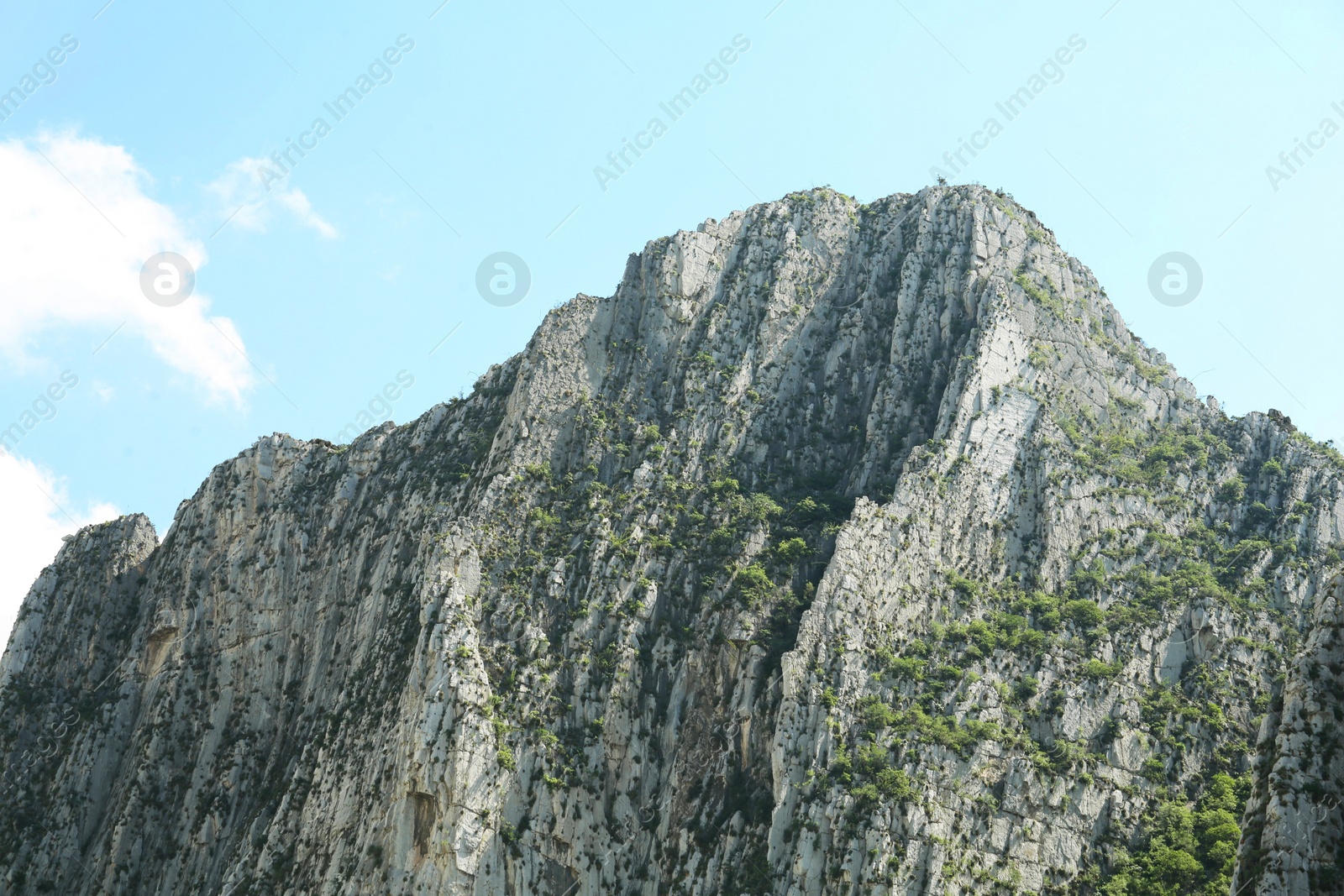 Photo of Beautiful mountain and plants under cloudy sky