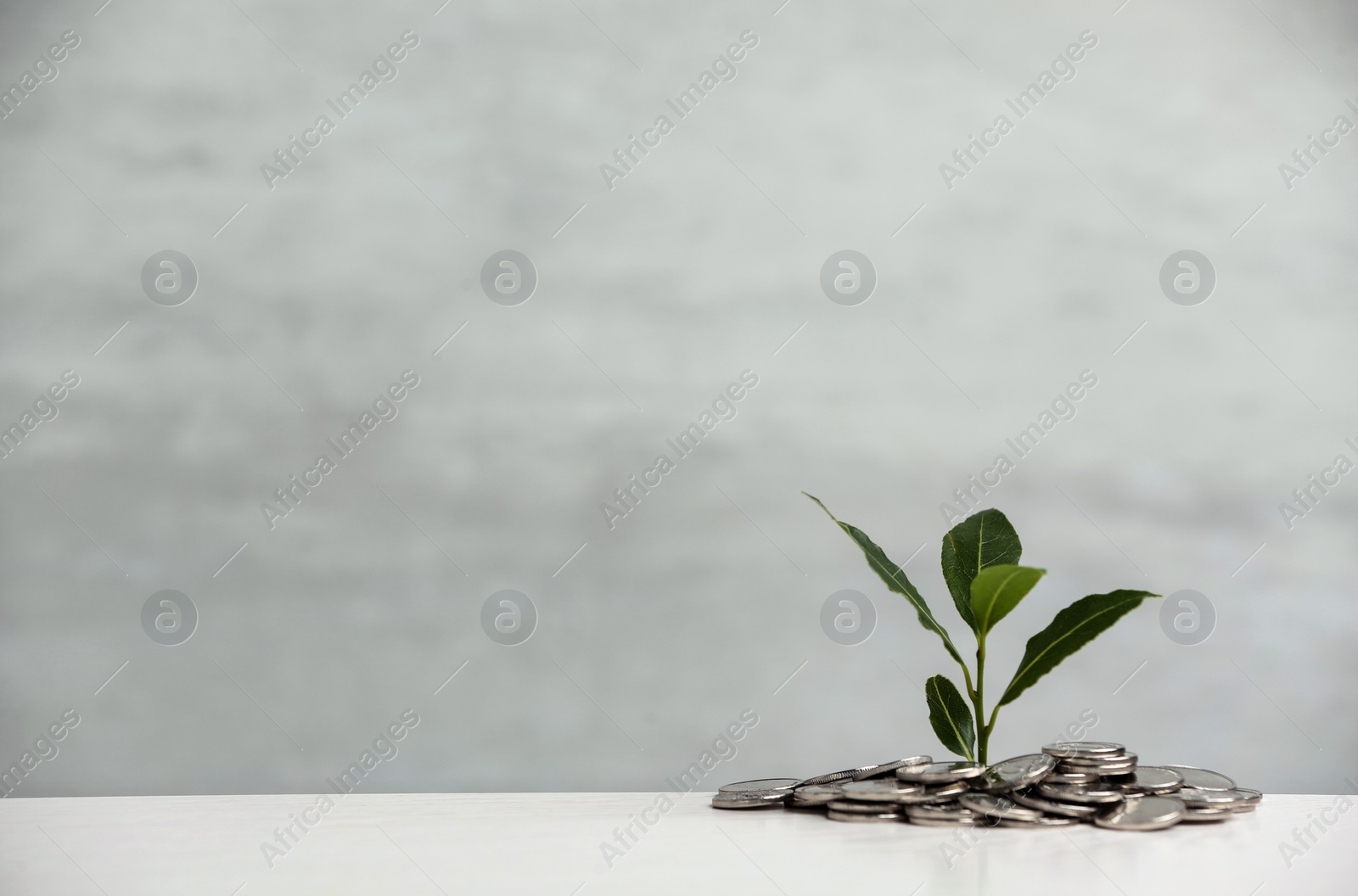 Photo of Pile of coins and young green plant on table against light background, space for text