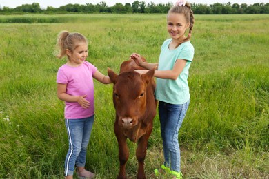Photo of Cute little girls with calf in green field