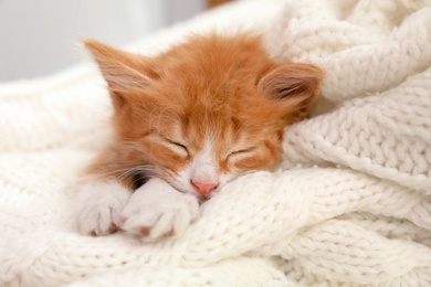 Photo of Cute little red kitten sleeping on white knitted blanket