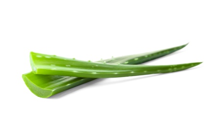 Photo of Aloe vera leaves on white background