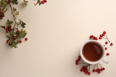 Photo of Aromatic hawthorn tea in cup and berries on beige table, flat lay. Space for text