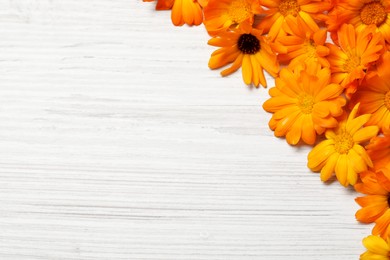 Beautiful calendula flowers on white wooden table, top view. Space for text