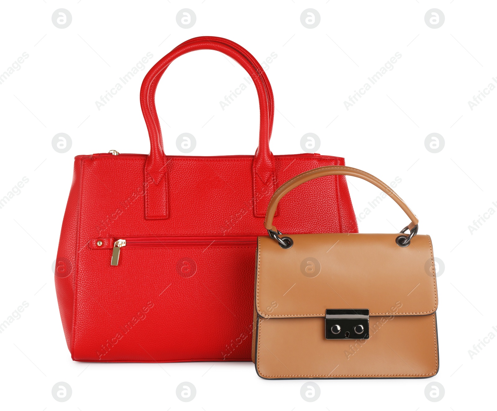 Photo of Different stylish women's bags on white background