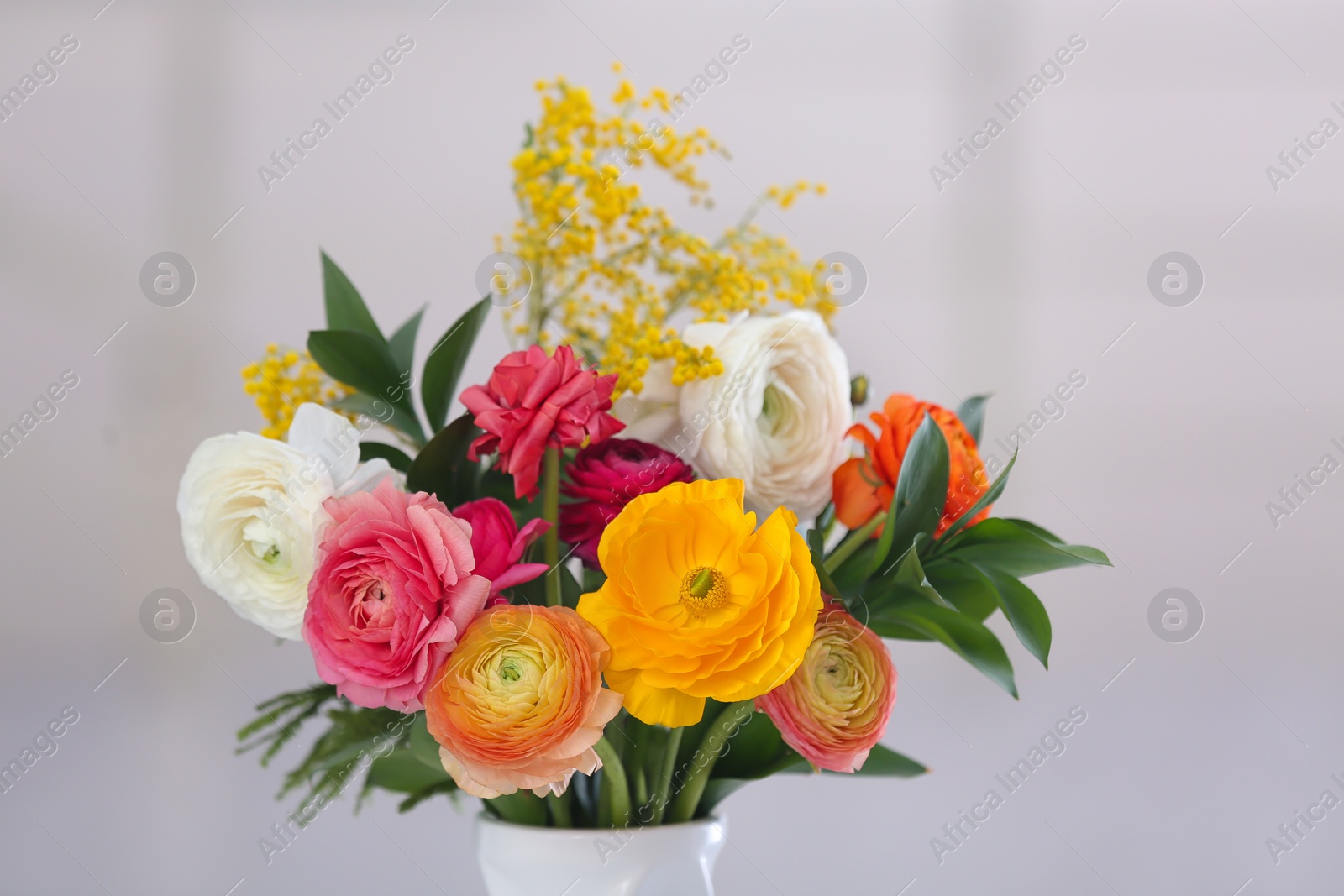 Photo of Vase with beautiful ranunculus flowers on blurred background