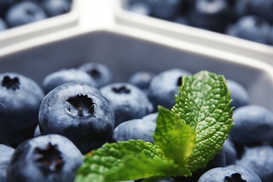 Fresh blueberries with green leaves in white dishware, closeup