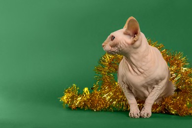 Photo of Adorable Sphynx cat with golden tinsel on green background, space for text
