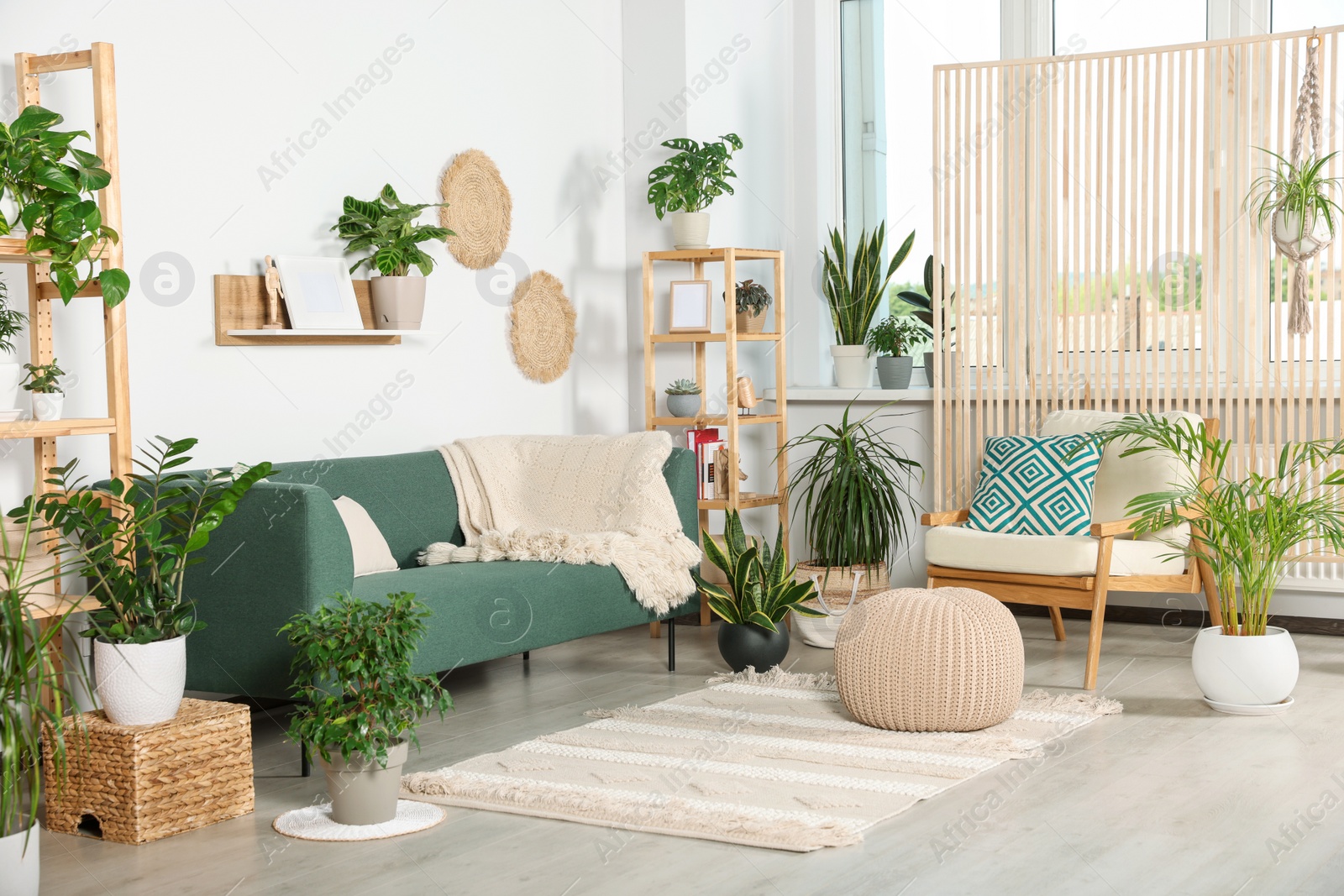 Photo of Living room interior with beautiful different potted green plants and furniture. House decor