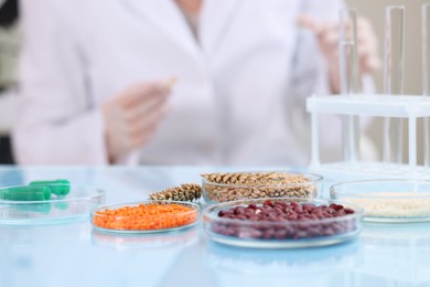 Quality control. Food inspector working in laboratory, focus on petri dishes with different products