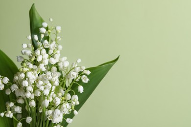 Beautiful lily of the valley flowers with leaves on light green background, closeup. Space for text