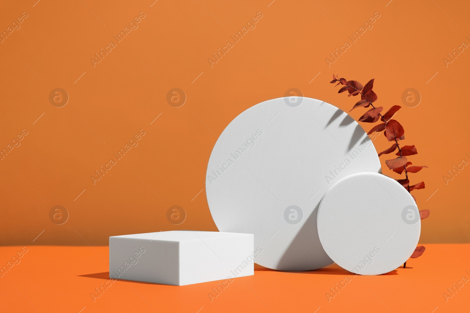 Photo of Scene with podium for product presentation. Figures of different geometric shapes and dry eucalyptus branch on orange background