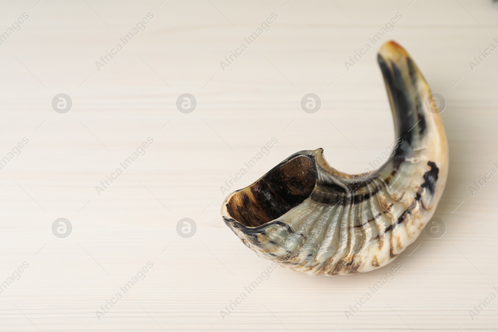 Photo of Shofar on white wooden table, space for text. Rosh Hashanah holiday attribute