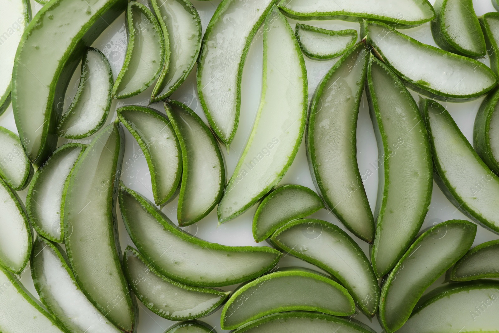 Photo of Fresh aloe vera slices on white background, flat lay