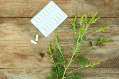 Photo of Ragweed (Ambrosia) branch and pills on wooden table, flat lay. Seasonal allergy
