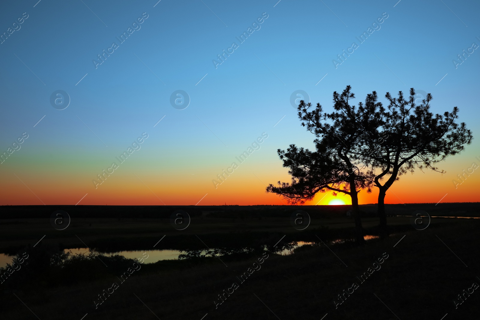Photo of Picturesque view of tree near river at sunset