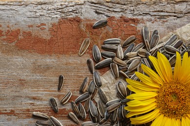 Sunflower seeds and flower on wooden table, flat lay. Space for text