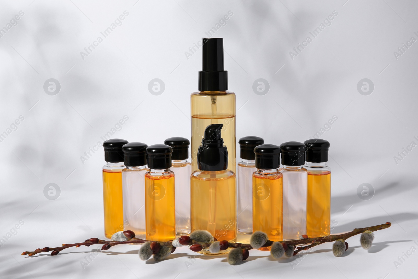 Photo of Many bottles of cosmetic products and willow branch on white background