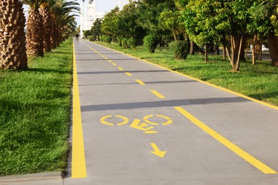 Photo of Bike lane with painted bicycle yellow sign and palm trees outdoors