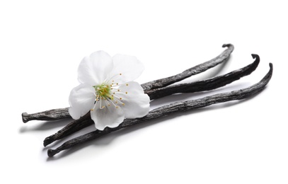 Photo of Vanilla sticks and flower on white background