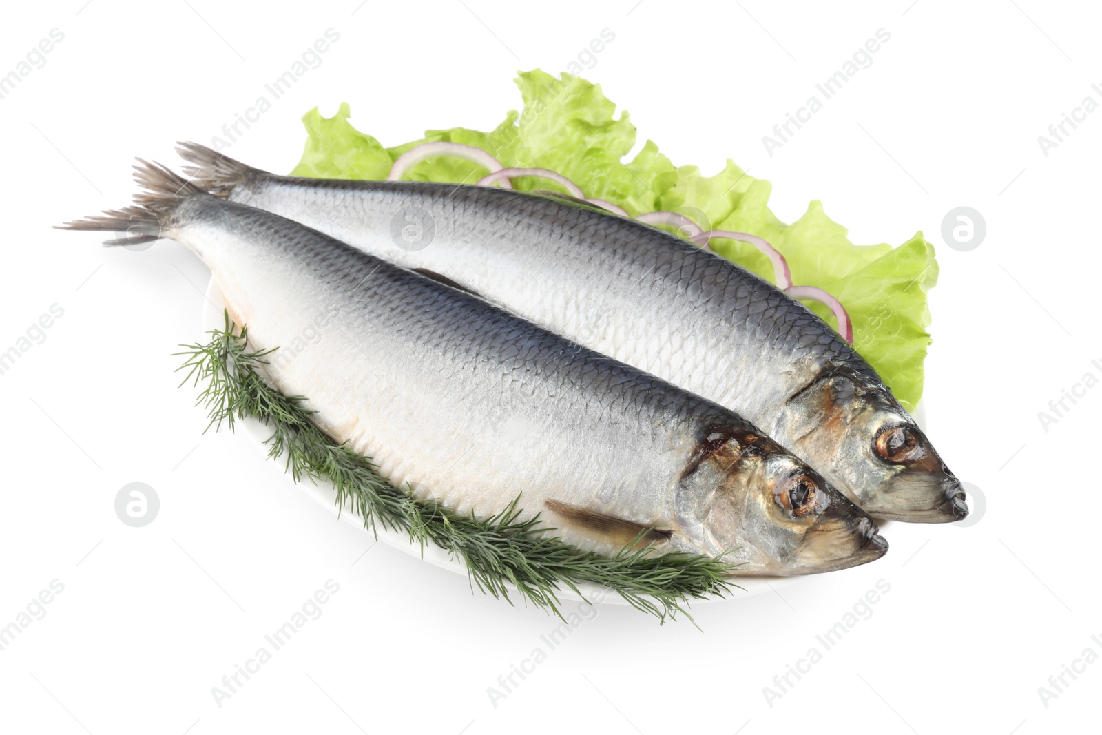 Photo of Plate with salted herrings, dill, onion rings and lettuce isolated on white