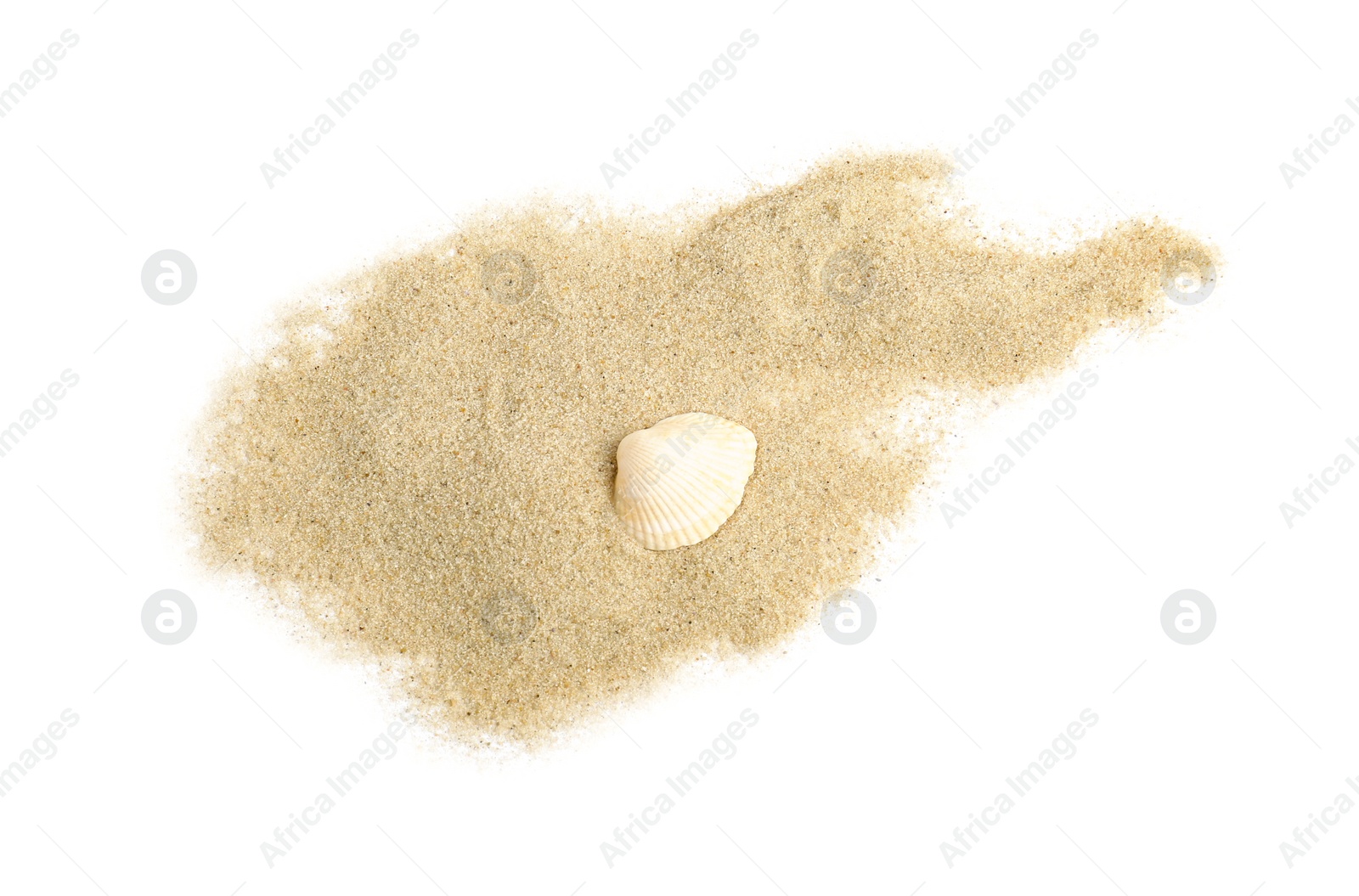 Photo of Beautiful sea shell and sand on white background, top view