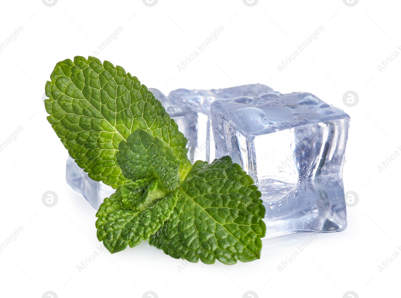 Photo of Ice cubes and mint on white background