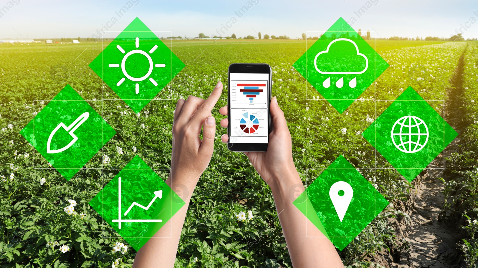 Image of Modern agriculture. Woman with smartphone in field and icons, closeup