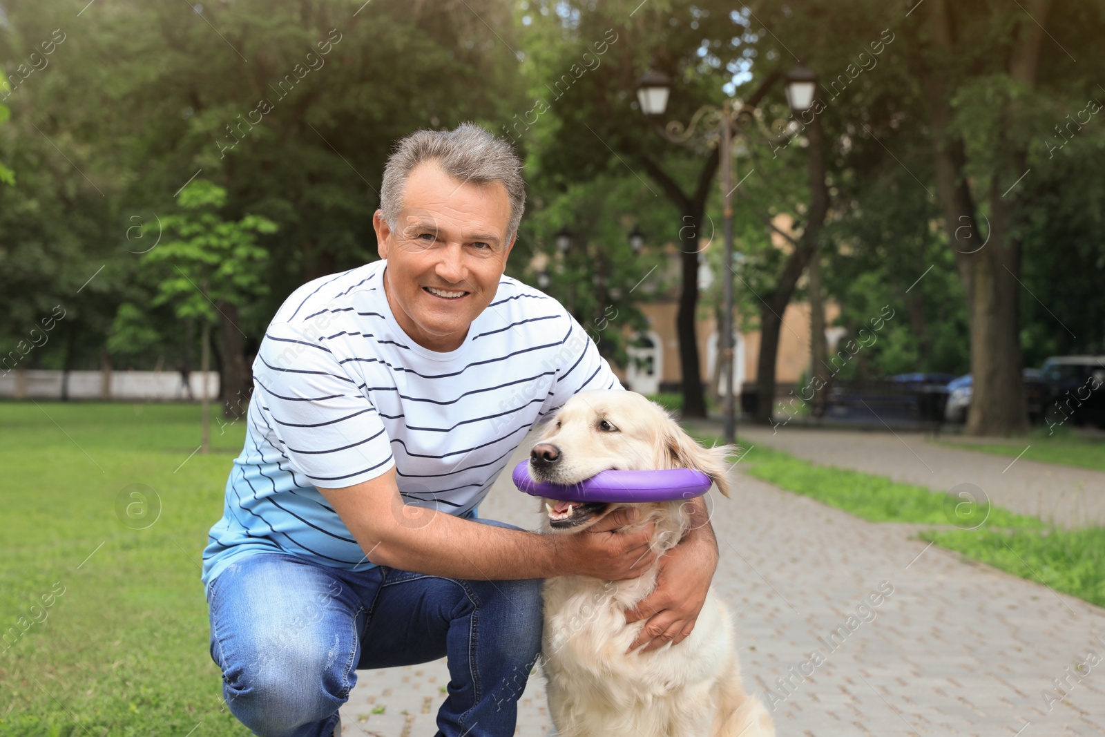 Photo of Happy senior man with his Golden Retriever dog in park