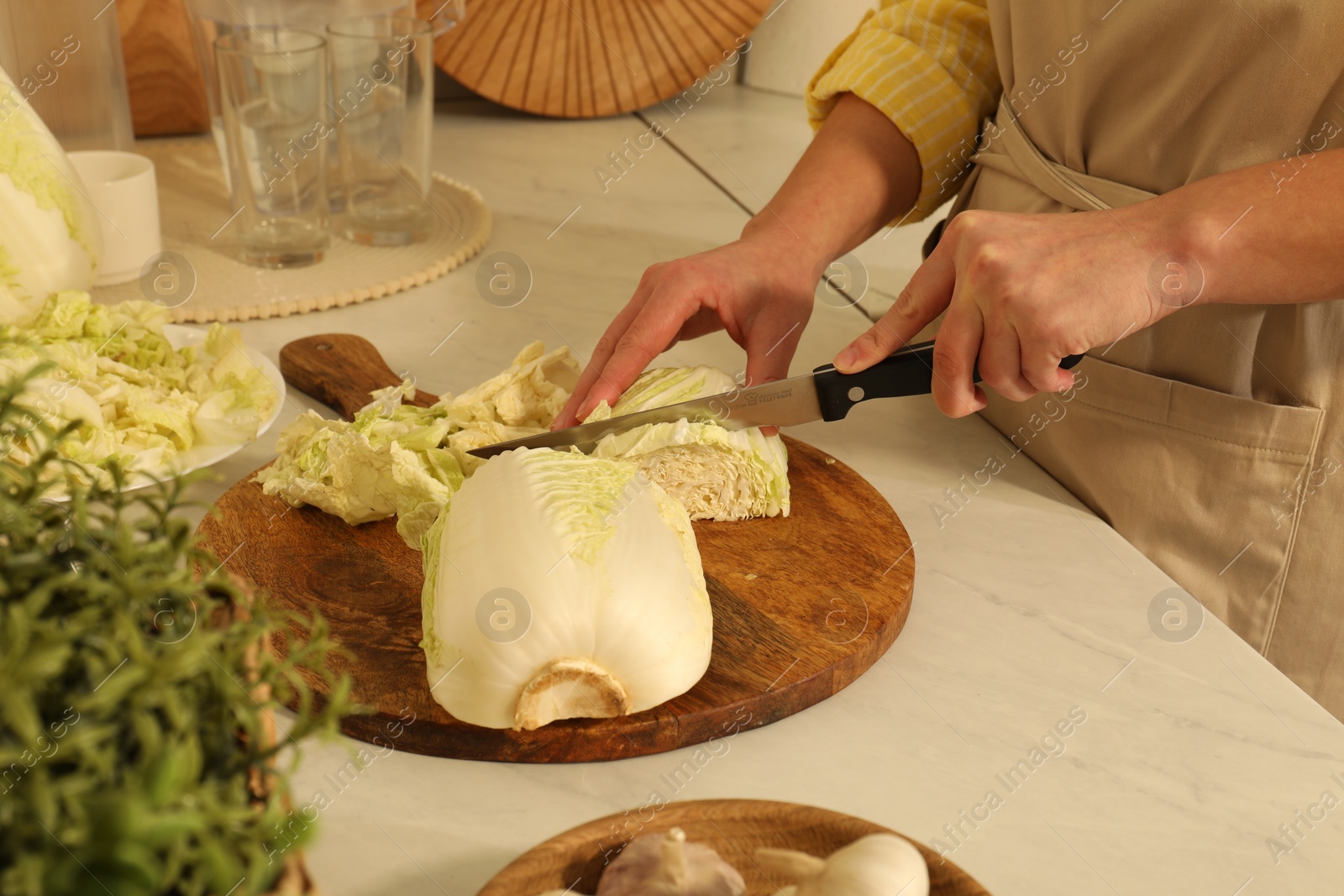 Photo of Woman cutting fresh chinese cabbage at kitchen table, closeup