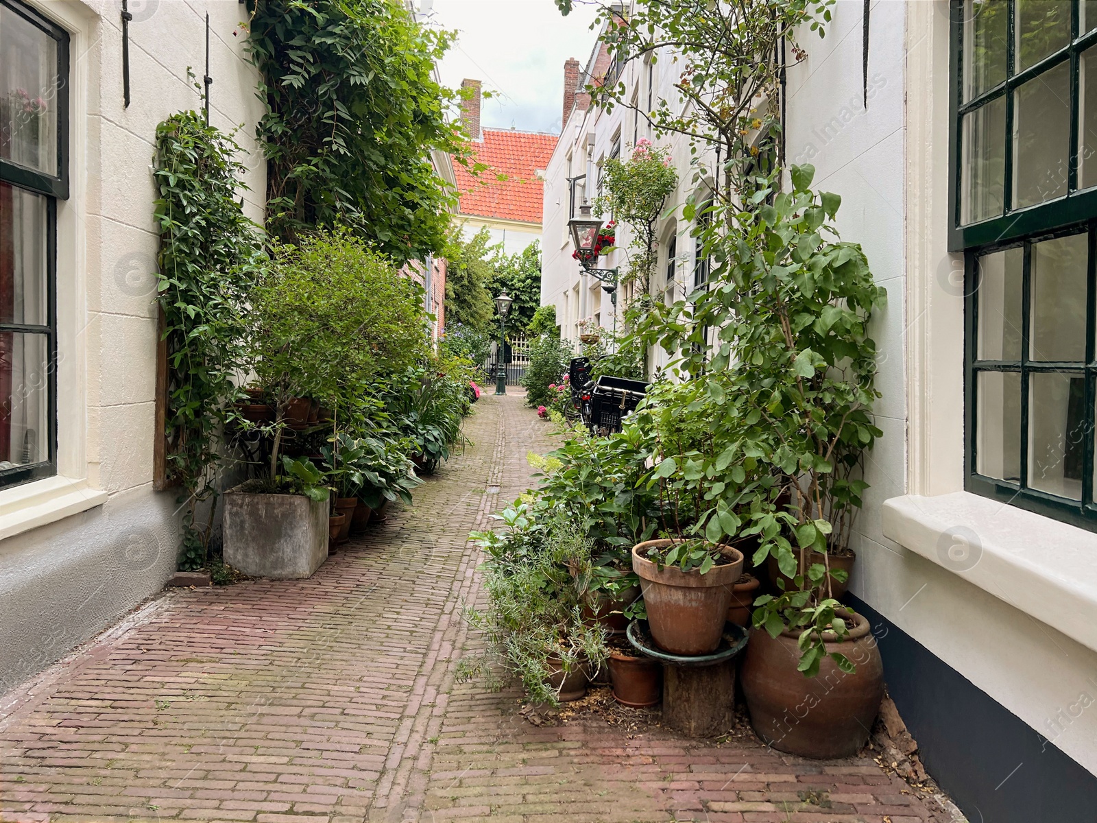 Photo of Beautiful view of city street with buildings and plants on sunny day