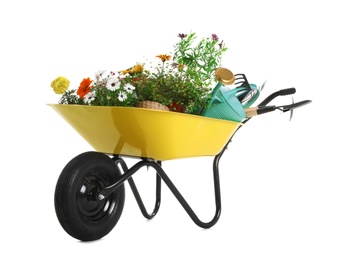 Wheelbarrow with flowers and gardening tools isolated on white