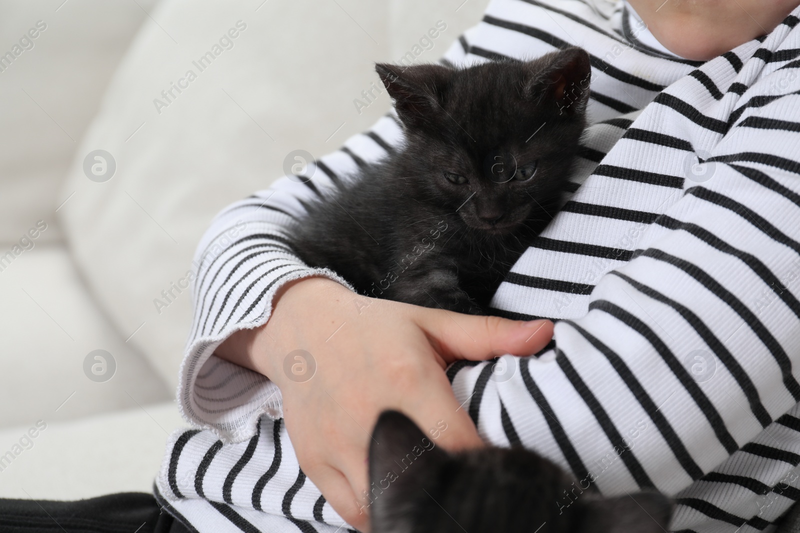 Photo of Little girl with cute fluffy kittens on sofa indoors, closeup