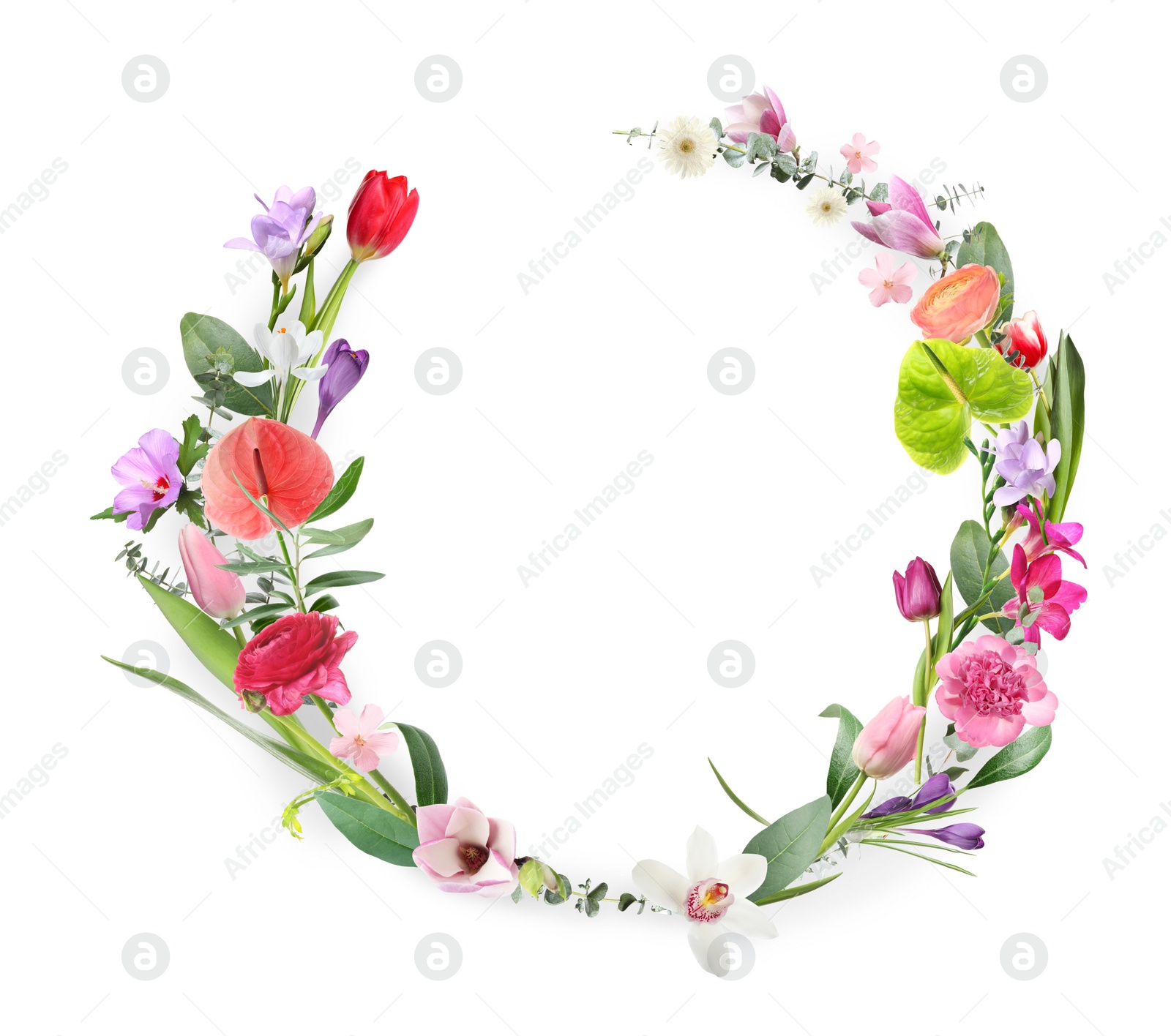 Image of Wreath made of beautiful flowers on white background