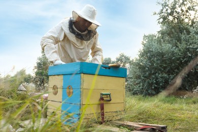 Beekeeper in uniform near hive at apiary