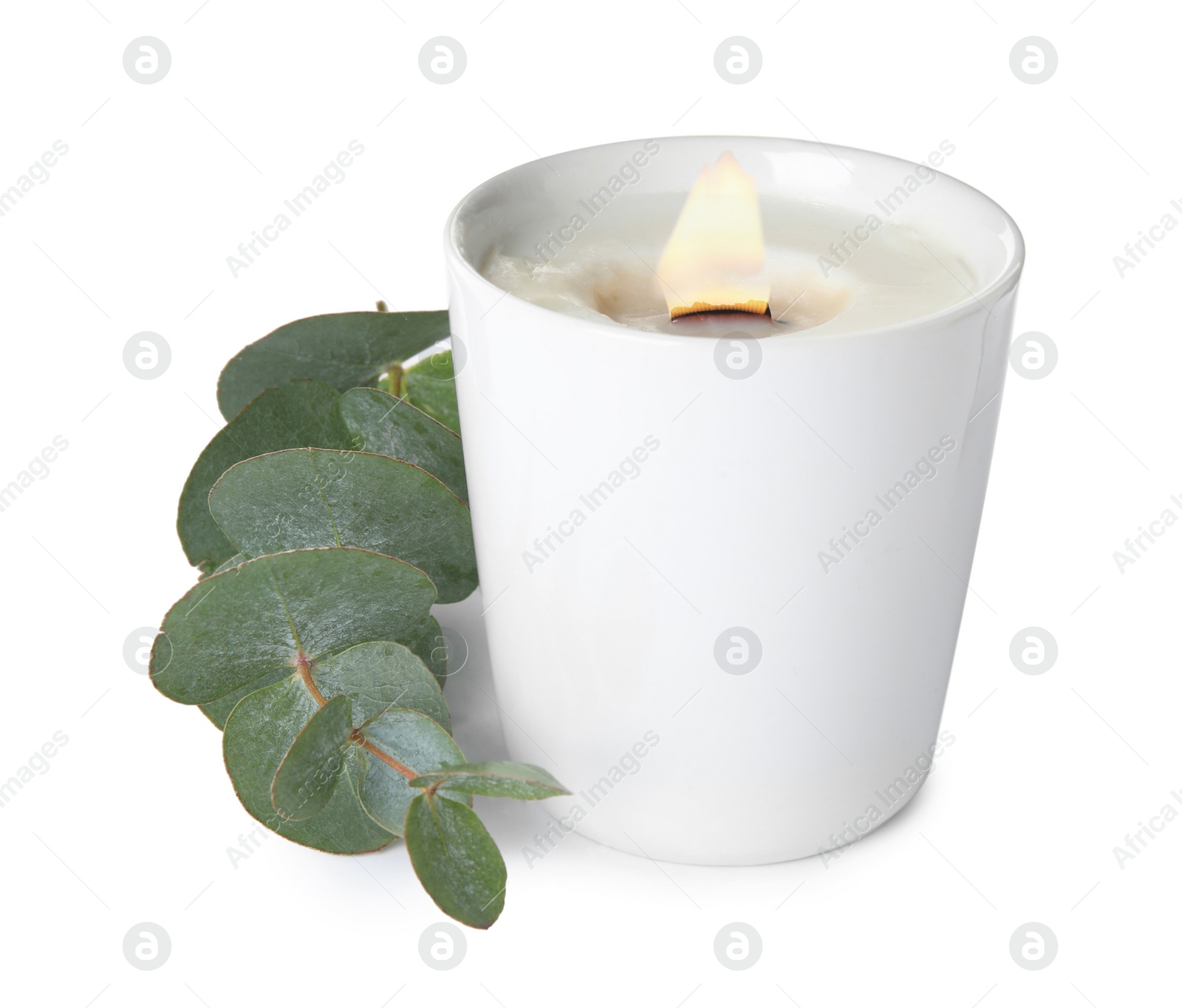 Photo of Aromatic candle with wooden wick and eucalyptus branch on white background