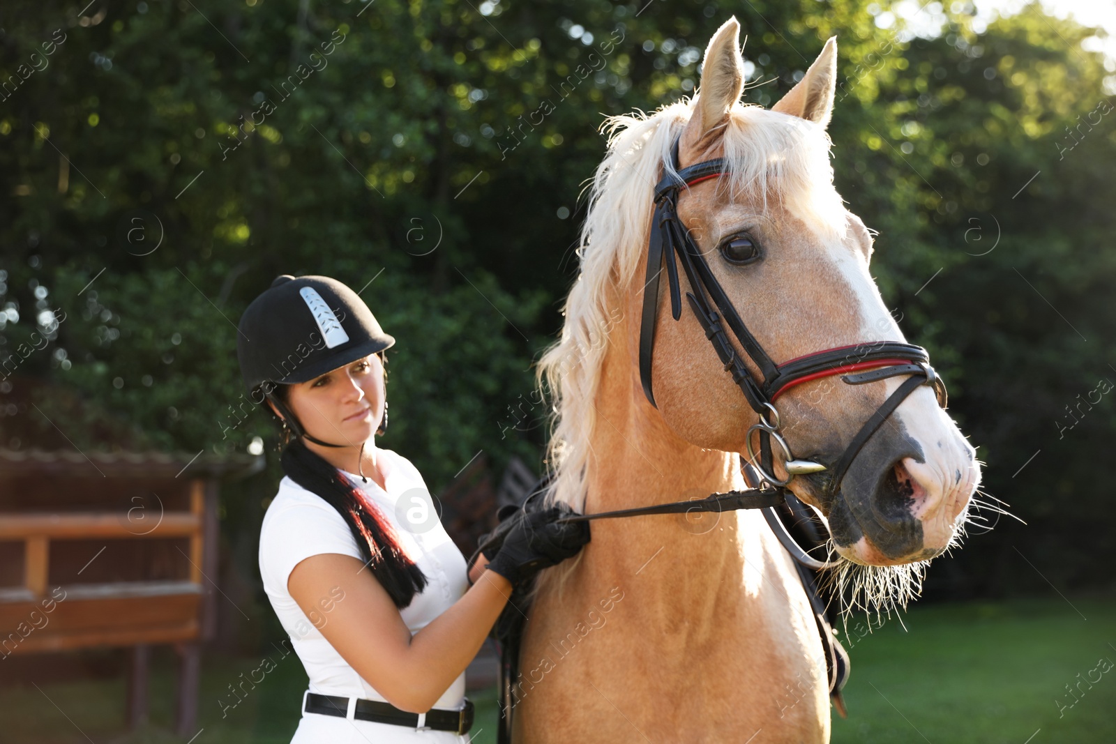 Photo of Young woman in horse riding suit and her beautiful pet outdoors on sunny day