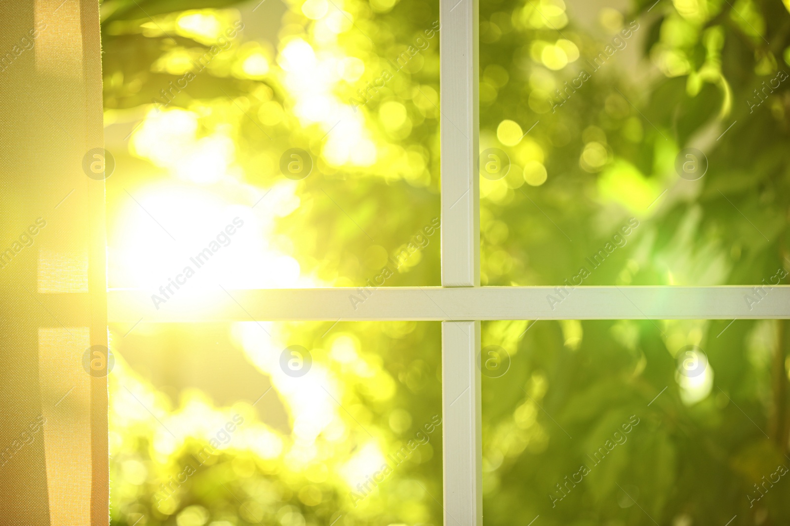 Photo of Beautiful view through window on garden in morning