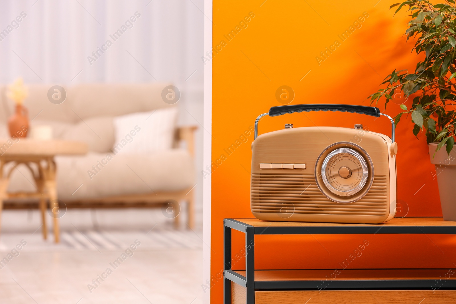 Photo of Retro radio receiver and houseplant on console table in stylish hallway, space for text. Interior design