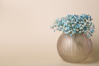Photo of Beautiful gypsophila flowers in vase on beige background. Space for text