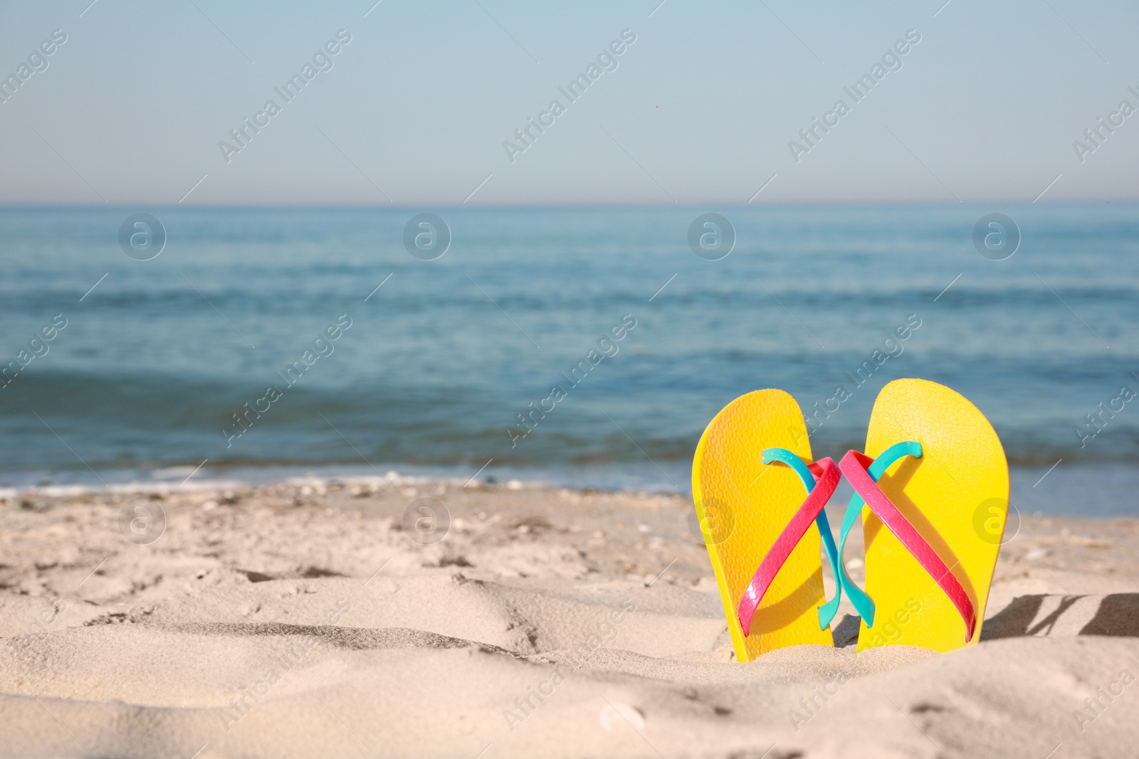 Photo of Stylish flip flops in sand on beach. Space for text