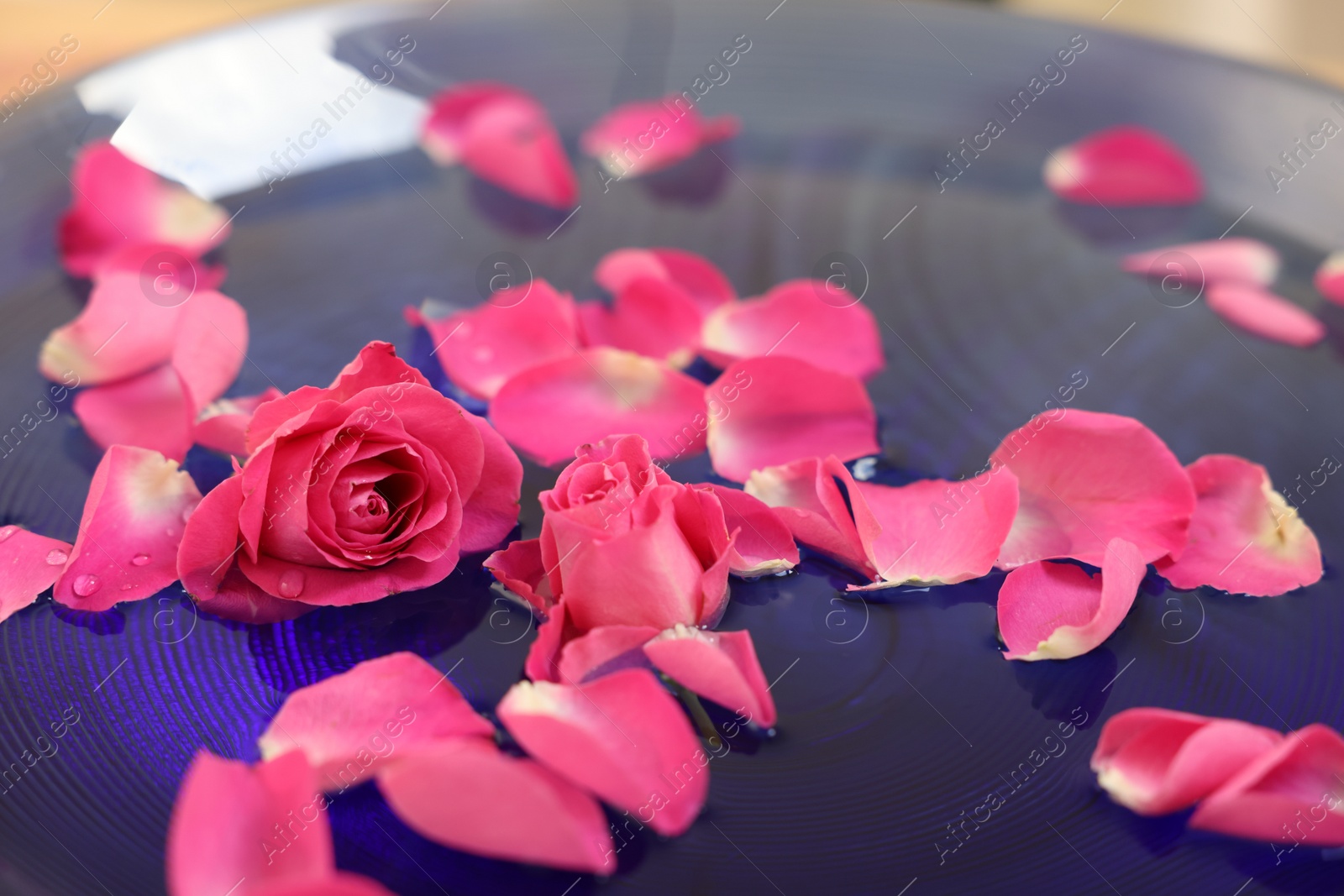 Photo of Pink roses and petals in water, closeup